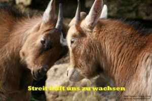 Streit - Simeon : stock.xchng 14.06.13