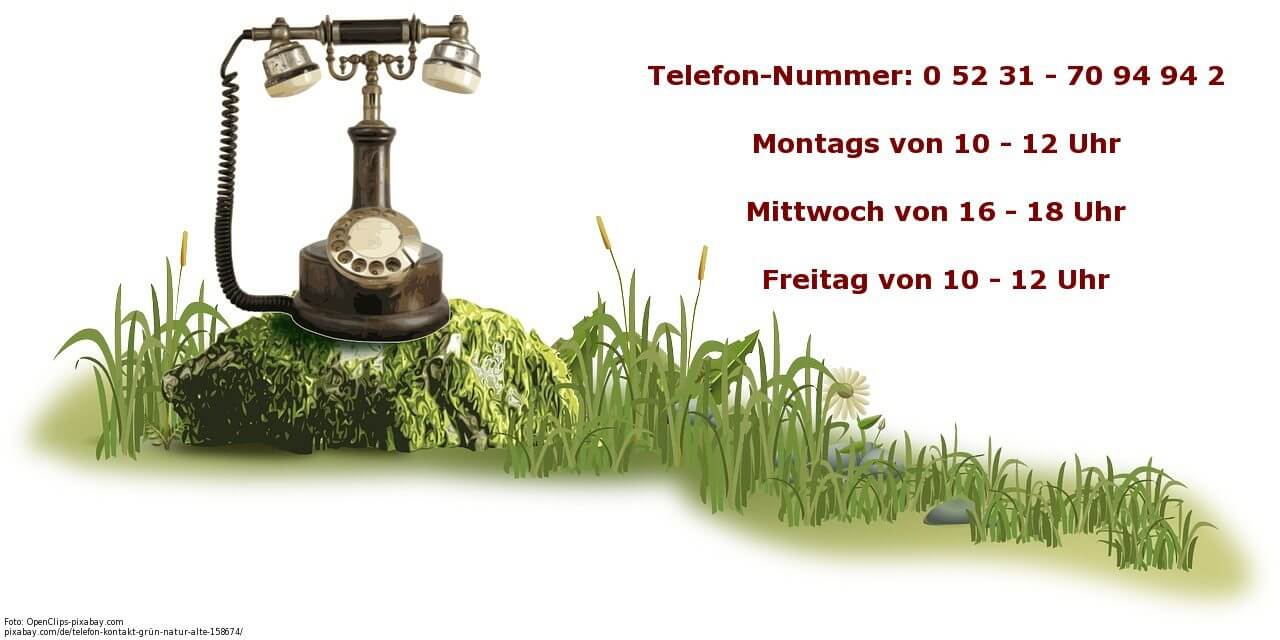 Telefon - OpenClips-pixabay.com telephone-158674_1280 16.01.14